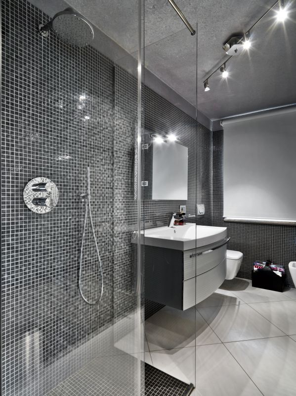 Sleek Bathroom Shower